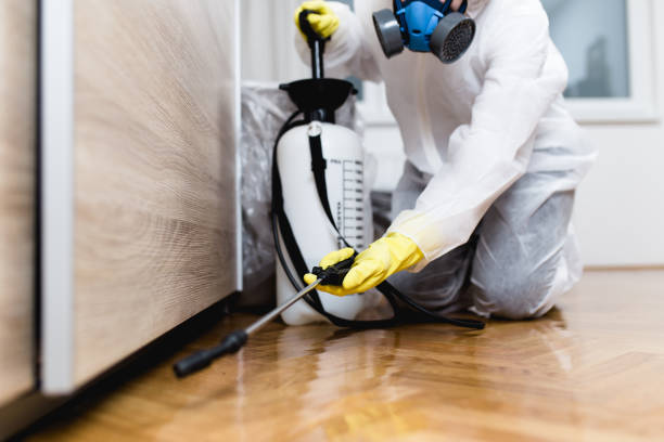 Trusted Talahi Island, GA Pest Control Experts