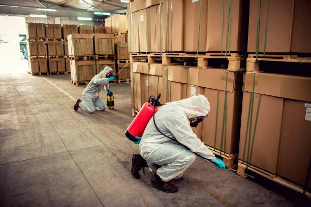 Best Pest Prevention Services  in Talahi Island, GA