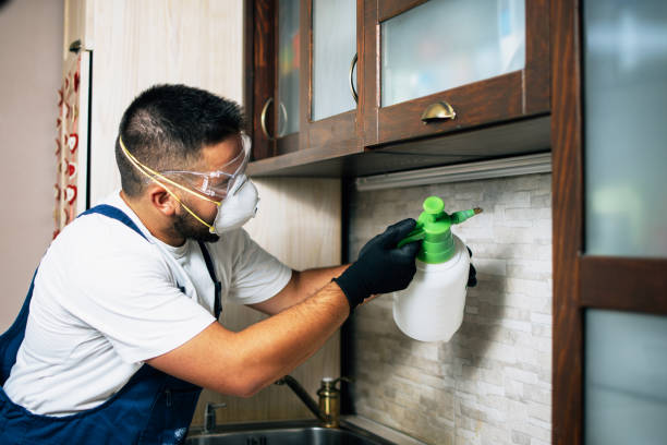 Best Affordable Pest Control Services  in Talahi Island, GA