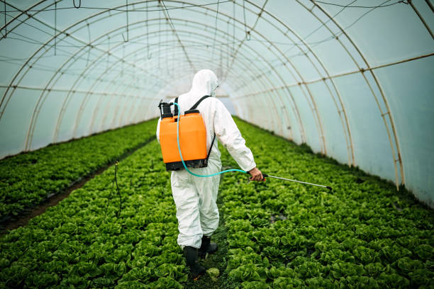 Best Local Pest Control Services  in Talahi Island, GA