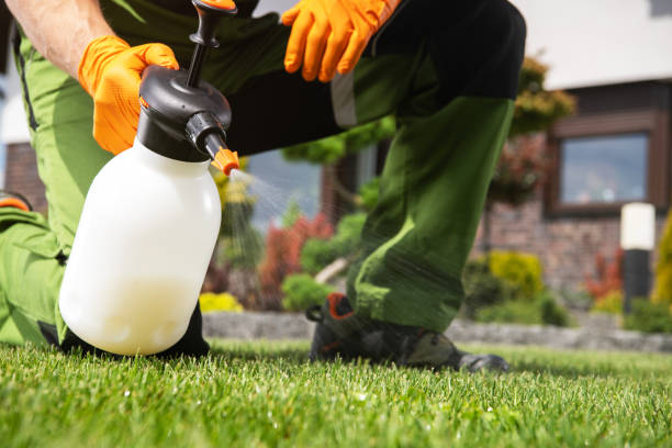 Best Affordable Pest Control Services  in Talahi Island, GA