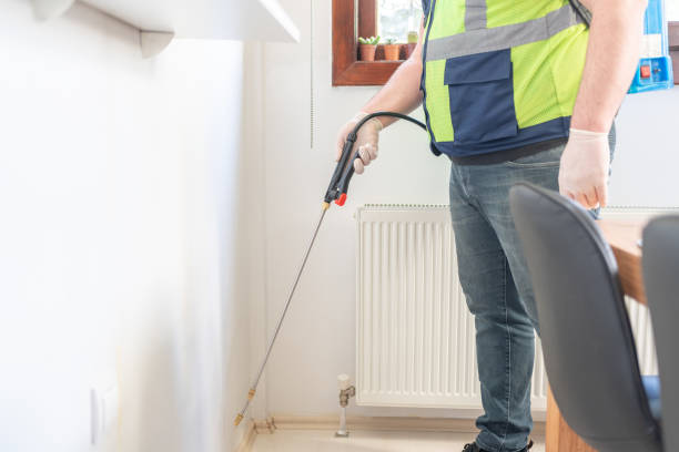 Best Affordable Pest Control Services  in Talahi Island, GA