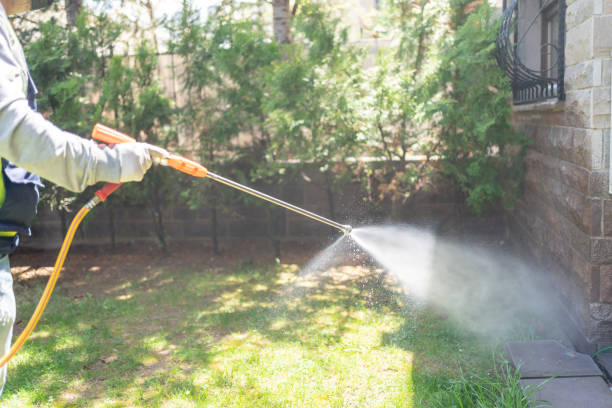 Best Affordable Pest Control Services  in Talahi Island, GA