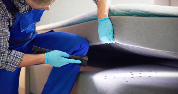 Best Residential Pest Control  in Talahi Island, GA