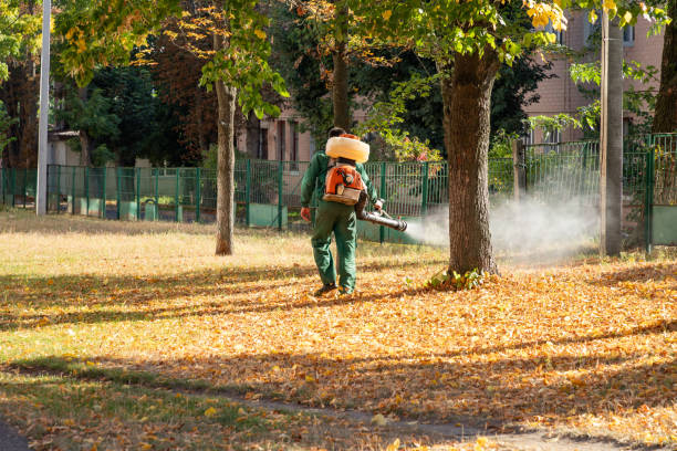 Professional Pest Control in Talahi Island, GA