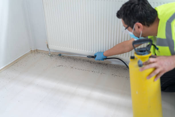 Best Best Pest Control Companies  in Talahi Island, GA